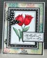 2011/03/16/SC324_by_sweetnsassystamps.jpg