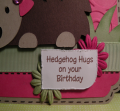 Hedgehog_H
