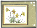 2011/03/30/Spring_Daffodils_by_seseid.png