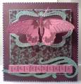 2011/04/01/Stampotique_New_Stamps_by_tashabeasley.JPG