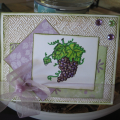 2011/05/20/priscillastyles_grapes_by_vampme3.png