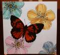 2011/05/23/Butterfly_and_flowers_by_tyshero.JPG