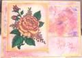 2011/05/29/Rose_Thank_You_Card_by_lnelson74.jpg