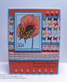 2011/05/31/mfp57pepper531cards-002_by_Stamp-it-up.gif