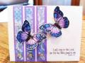 2011/06/15/Purple_butterflies_by_momofnation.jpg