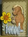 2011/06/30/Colouring_In_Horse_thank_you_card_by_TraceyMay1.jpg