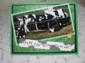 2011/07/12/Happy_Cow_Appreciation_Day_by_irishgreensue.JPG