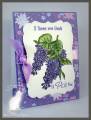 2011/07/14/MFP_Lilacs_in_the_summer_by_Neva_by_n5stamper.jpg