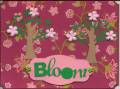 bloom0002_