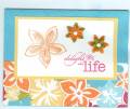 2011/09/04/delight_in_life_by_Cindy_Smallwood.jpeg