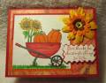 2011/10/23/Designed2DelightAutumnHarvest2front_by_Luciesfloozies.jpg