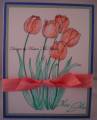 Tulips6_by
