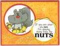 Nuts_by_Io