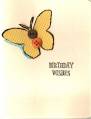butterfly_