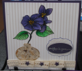 2012/03/09/Violet_Card_SS_by_jomeyer.png