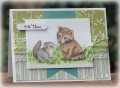 2012/03/18/03-18-12_AL_Racoon_and_Squirrel_by_peanutbee.png