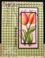 2012/03/18/Easter_Tulips_by_cathymac.jpg