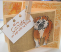 2012/03/24/Bull_dog_colored_card_SS_by_jomeyer.png
