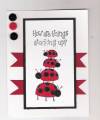 2012/03/25/A_Ladybug_Stack_bb_by_triasimite.jpg