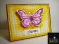 butterfly-