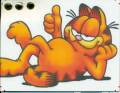 Garfield_C