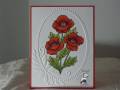 2012/06/19/June_Hop_6-19-2012_-_Welcome_Poppies_by_101Airborne.jpg