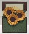 2012/07/23/sunflower-pocket-card1-hbs_by_hbrown.jpg