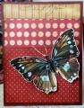 2012/07/25/SC395_-_CRE_Spotted_Butterfly_by_BobbiesGirl.JPG