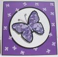 2012/07/28/purple_butterfly_003_by_ladybug91743.JPG