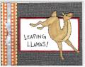 2012/07/30/Leaping_Llamas_by_JanetJ.jpg
