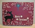 2012/12/29/Deer_star_Christmas_card_by_Kris_in_Alaska.jpg