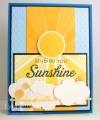 2013/01/04/PTI-Hello-Sunshine-with-clo_by_justbehappy.jpg