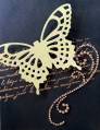 2013/01/20/IC372_-_CRE_Butterfly_with_Pearls_by_BobbiesGirl.JPG