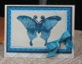 2013/01/31/Blue_butterfly_by_JD_from_PAUSA.jpg