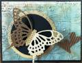 2013/02/03/IC374_-_CRE_Butterfly_by_BobbiesGirl.JPG