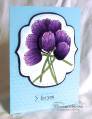 2013/03/07/WT417_Purple_Tulips_CKM_by_LilLuvsStampin.JPG