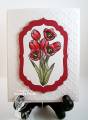 2013/03/20/Spring_Tulips_0910_by_ohmypaper_.JPG