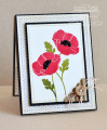 poppies_by