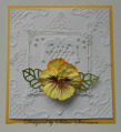 Pansy-Card