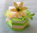 2013/04/26/Green_Treat_Box_by_Em1941.png