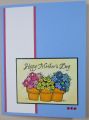 2013/05/03/Mother_s_Day_Potted_Plants_by_Hawkeye_Stamper.jpg