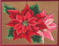 2013/05/03/Poinsettia_Recycled_-_CCC13_April_001_by_triasimite.jpg