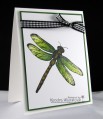 2013/05/14/dragonfly_palette_by_kendra.JPG