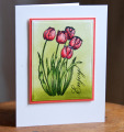2013/05/25/Spring_Tulips_by_Calico.jpg