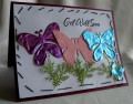 2013/05/27/Butterfly_Garden_1_by_2manycookbooks.jpg