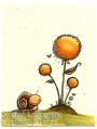2013/06/13/Snail_yellow_flower_by_SophieLaFontaine.jpg
