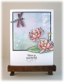 2013/07/09/Lotus_Blossom_3784_by_ohmypaper_.JPG