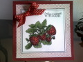 2013/08/18/Strawberries_for_Doreen_by_Precious_Kitty.JPG