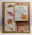 2013/09/28/Fall_Leaves_Front_by_leadonna24.jpg