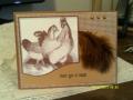 2013/11/22/Rooster_Feathers_by_Precious_Kitty.JPG